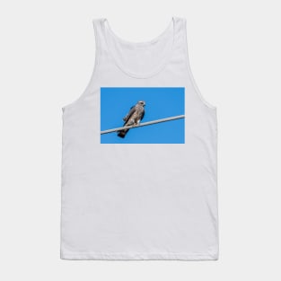 Mississippi Kite Juvenile All Alone Tank Top